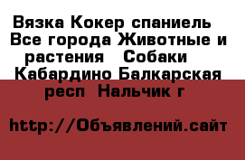 Вязка Кокер спаниель - Все города Животные и растения » Собаки   . Кабардино-Балкарская респ.,Нальчик г.